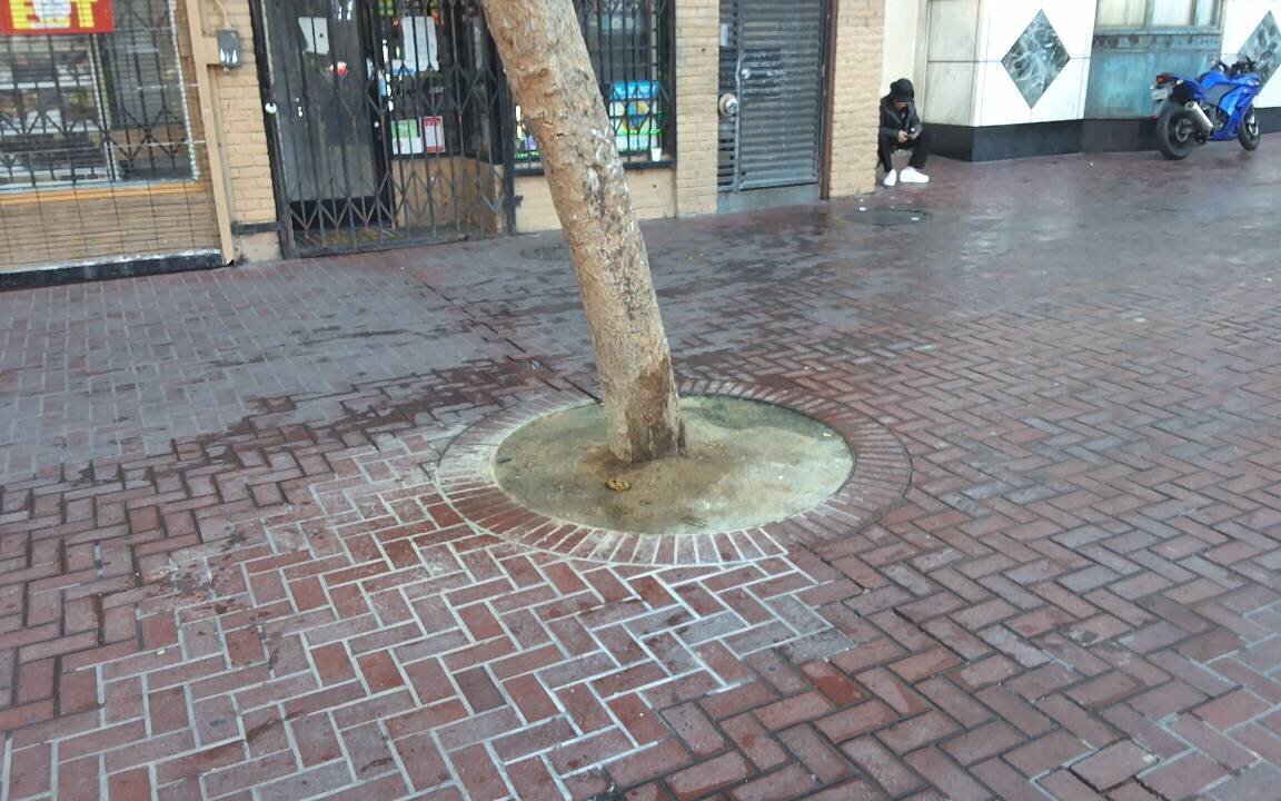 Photo attached to case 202000231741