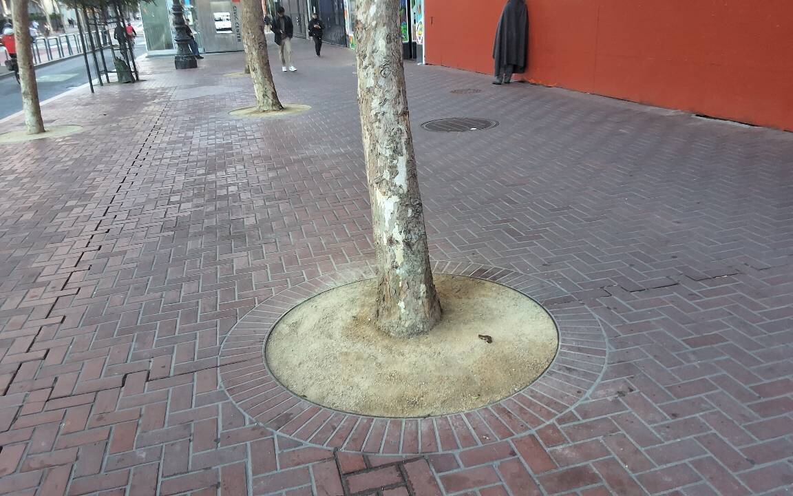 Photo attached to case 202000231748