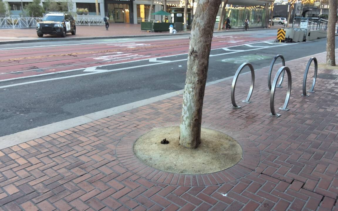 Photo attached to case 202000231751