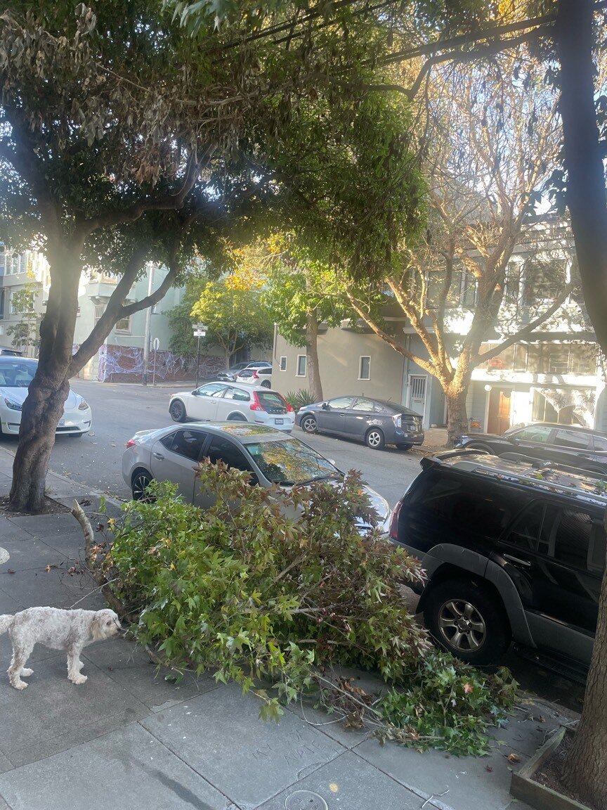 Photo attached to case 202000232106