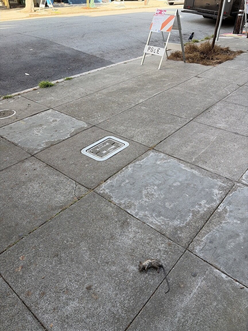 Photo attached to case 202000232432