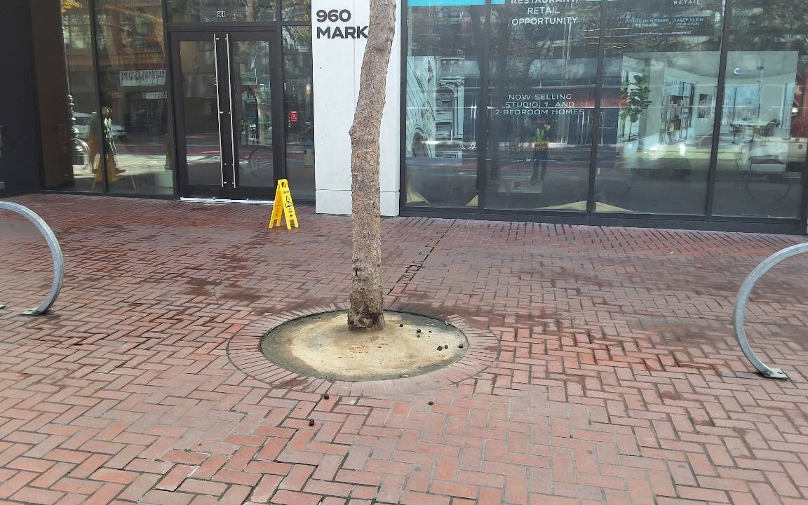 Photo attached to case 202000232475