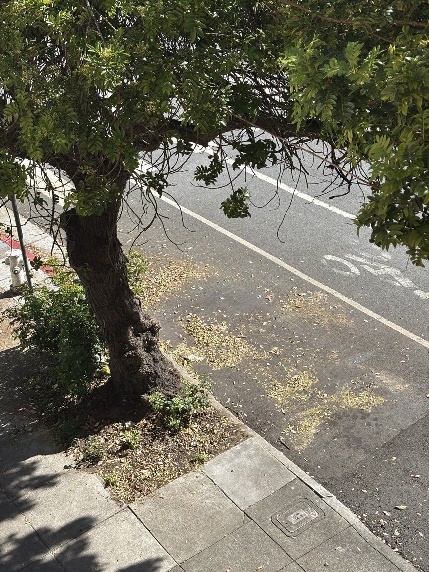 Photo attached to case 202000233126