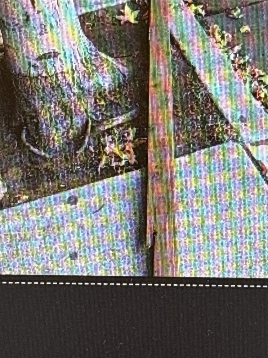 Photo attached to case 202000233417