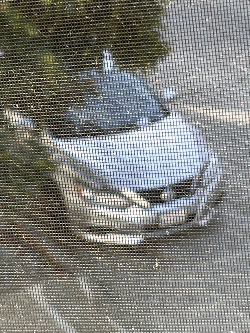 Photo attached to case 202000233517