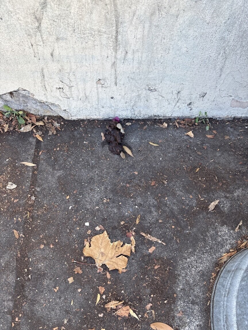 Photo attached to case 202000233558