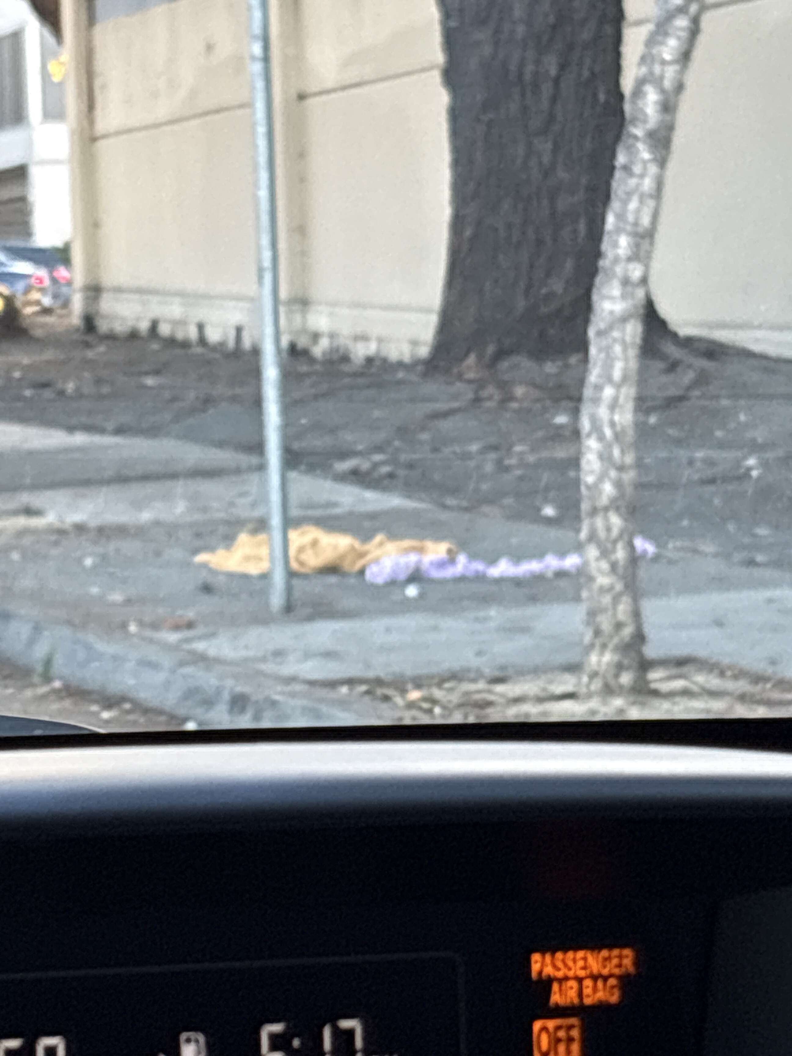 Photo attached to case 202000234127