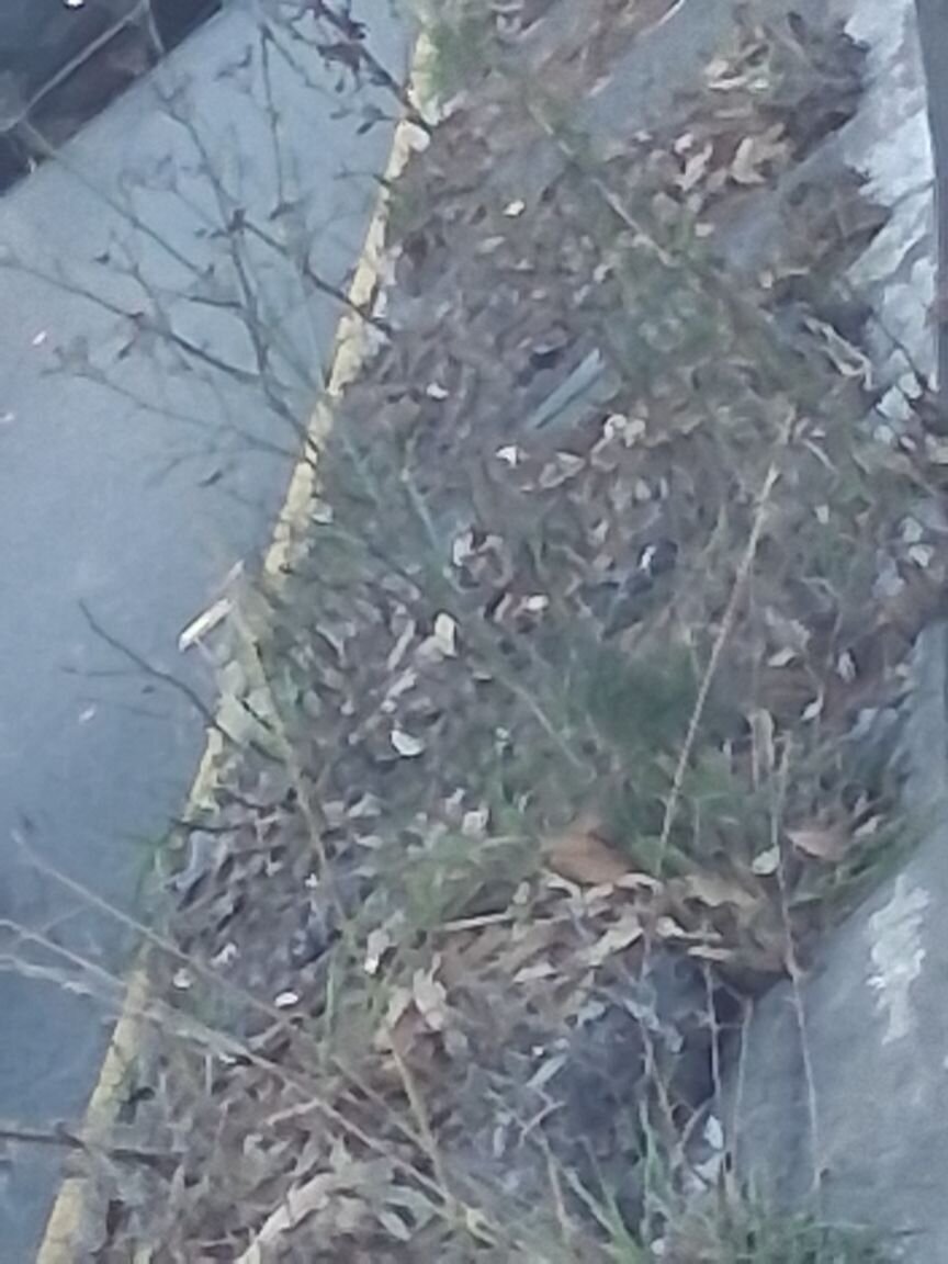 Photo attached to case 202000234286