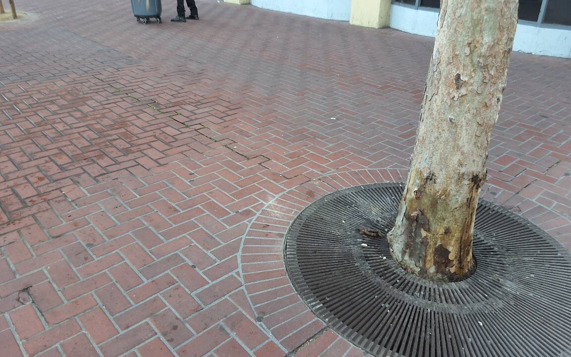 Photo attached to case 202000235294