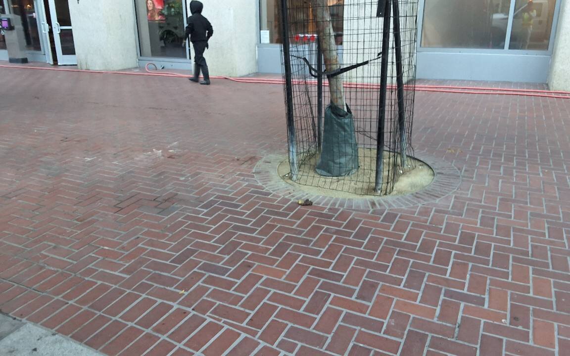 Photo attached to case 202000235308