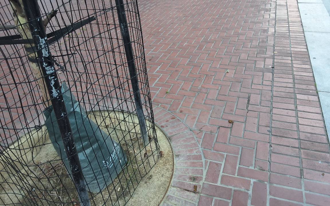 Photo attached to case 202000235315