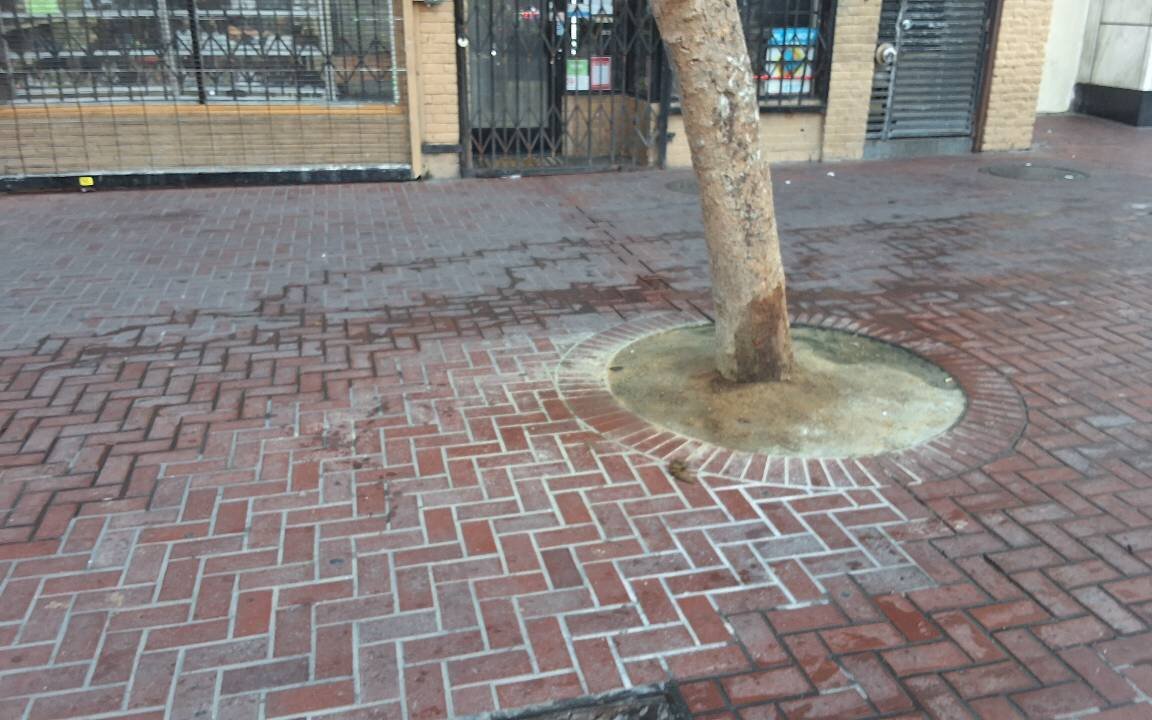 Photo attached to case 202000235346