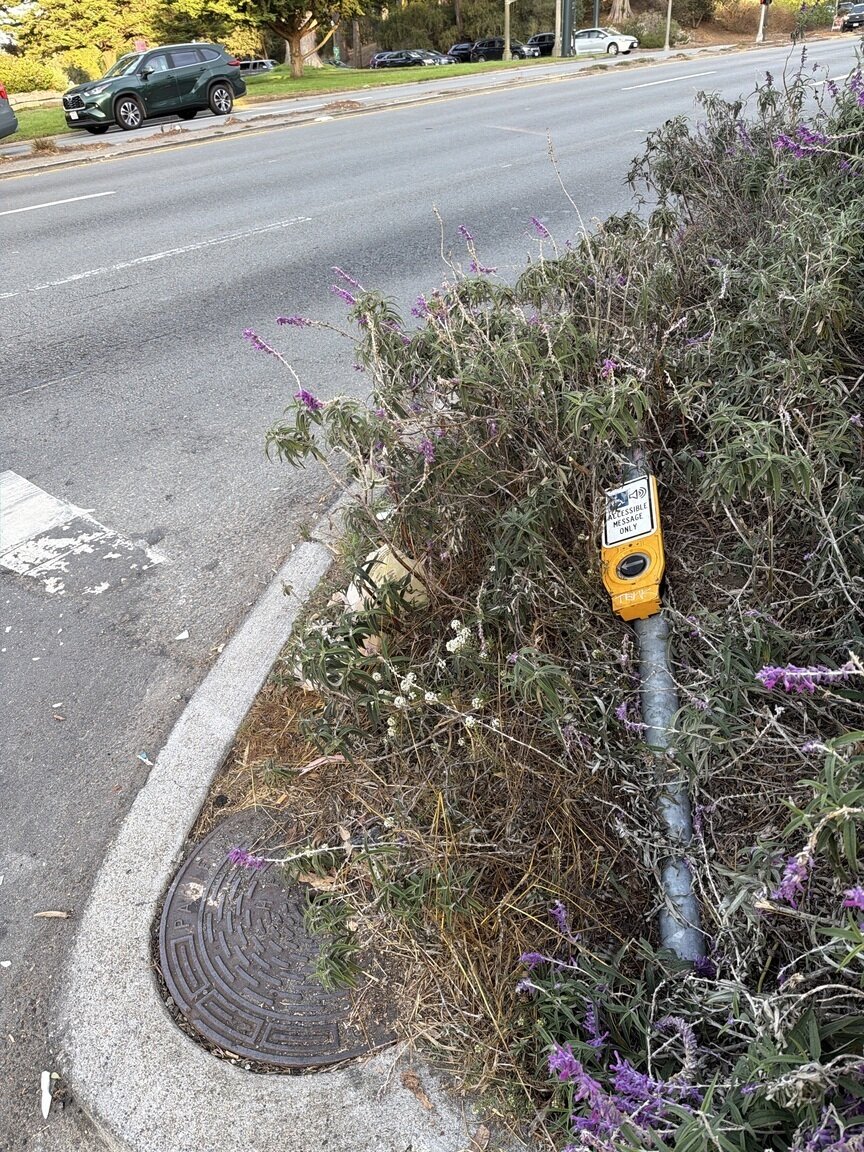 Photo attached to case 202000235425