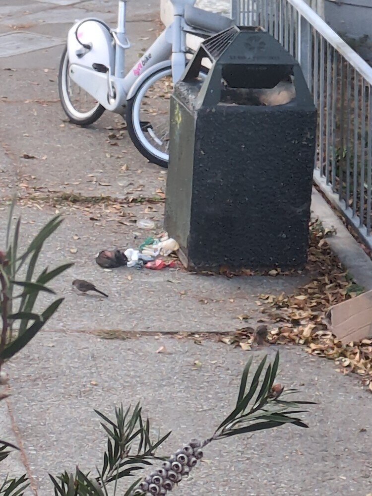 Photo attached to case 202000235572