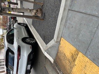 Photo attached to case 202000236003