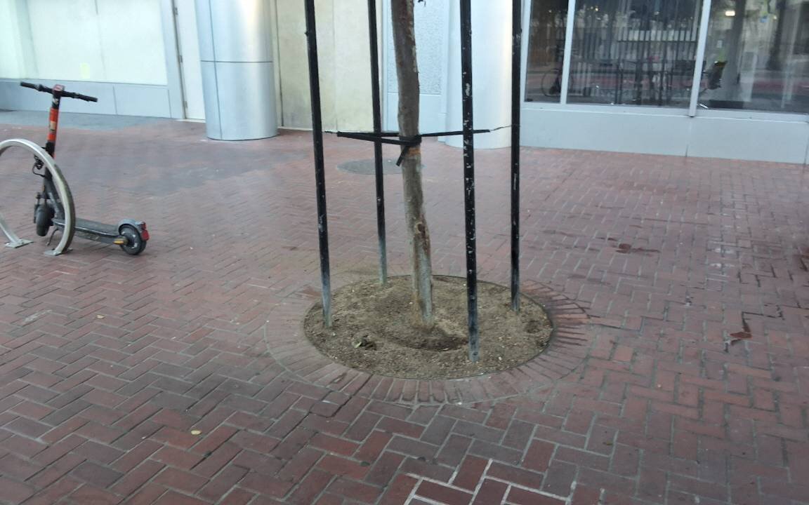 Photo attached to case 202000236138