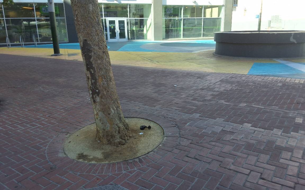 Photo attached to case 202000236222
