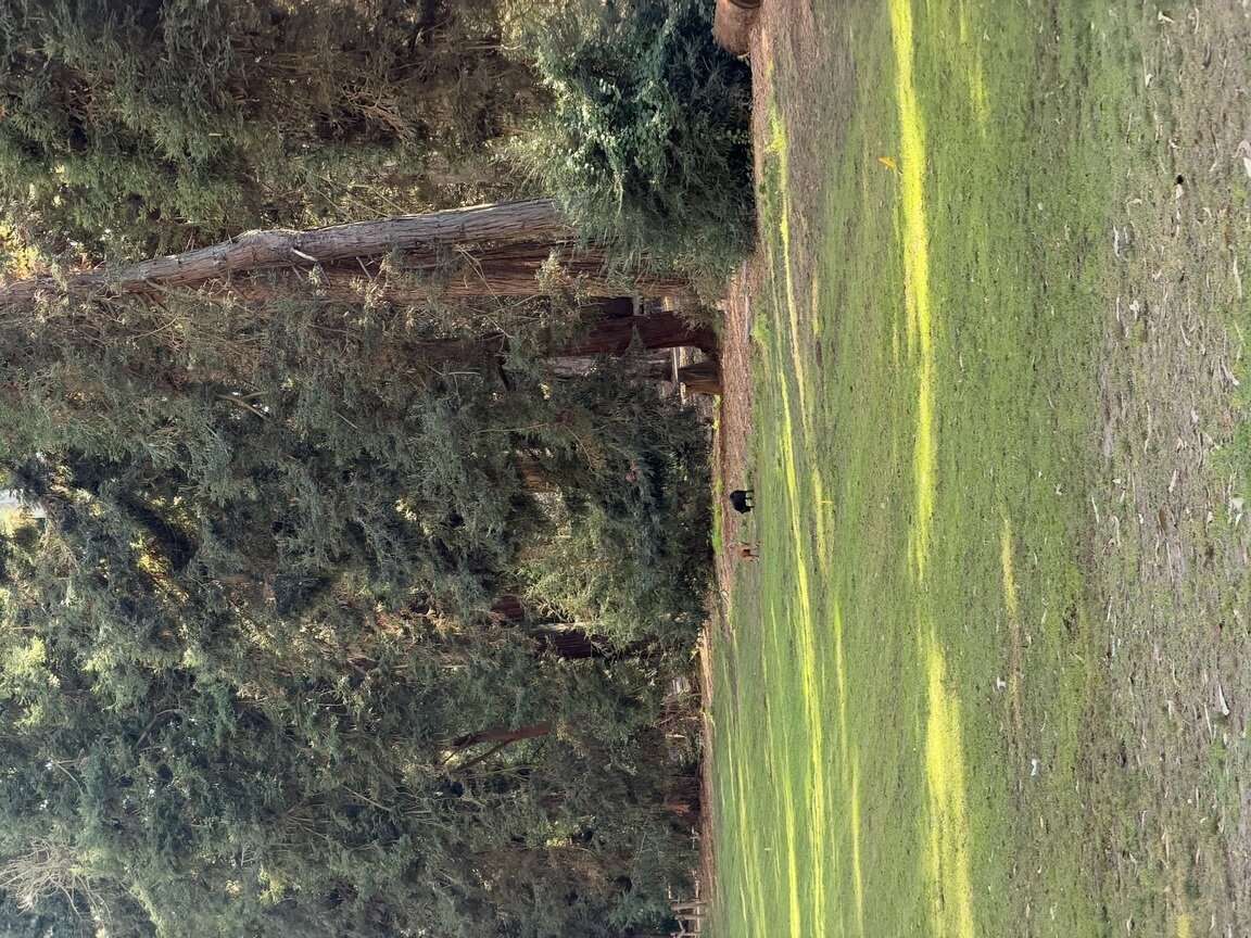 Photo attached to case 202000236708