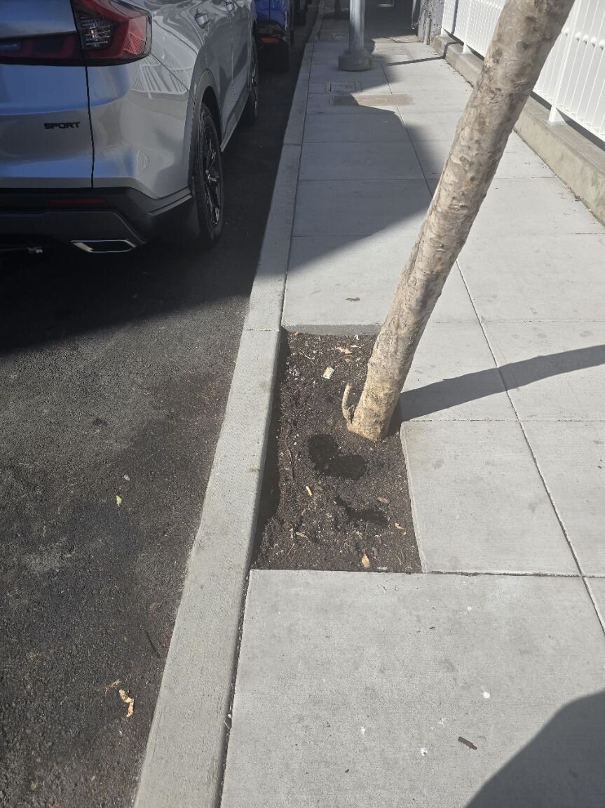 Photo attached to case 202000236809