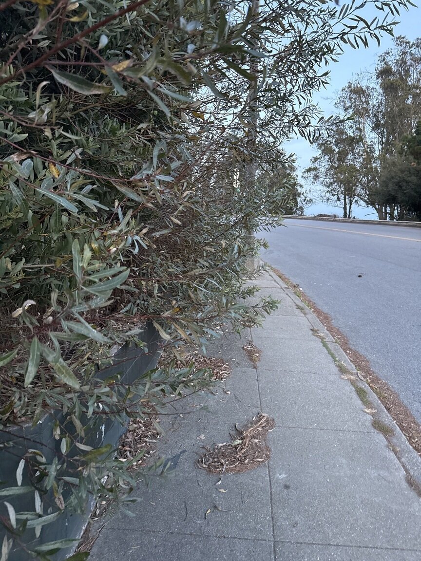Photo attached to case 202000237799
