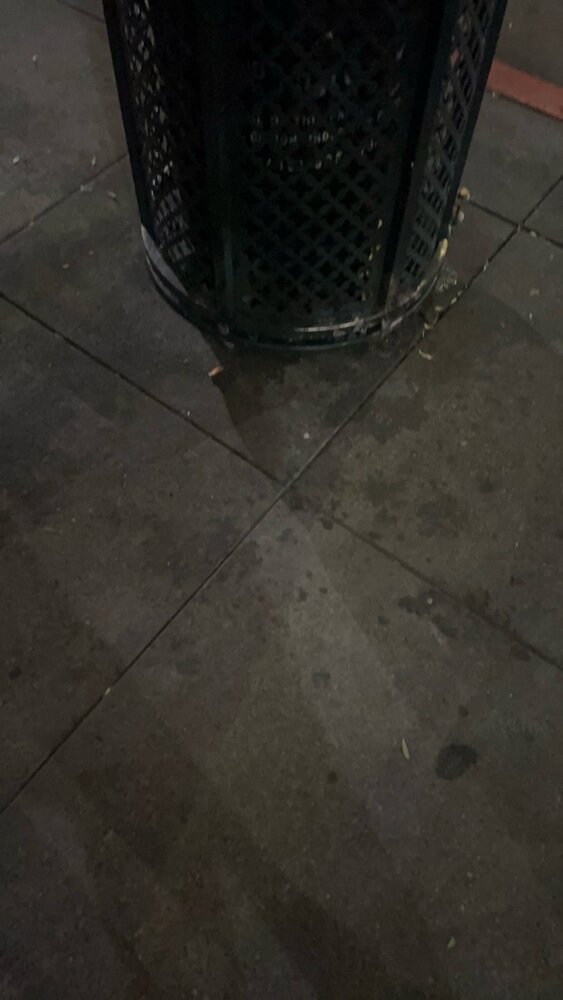 Photo attached to case 202000238485
