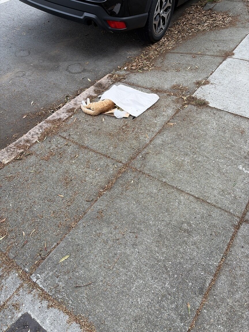 Photo attached to case 202000239245