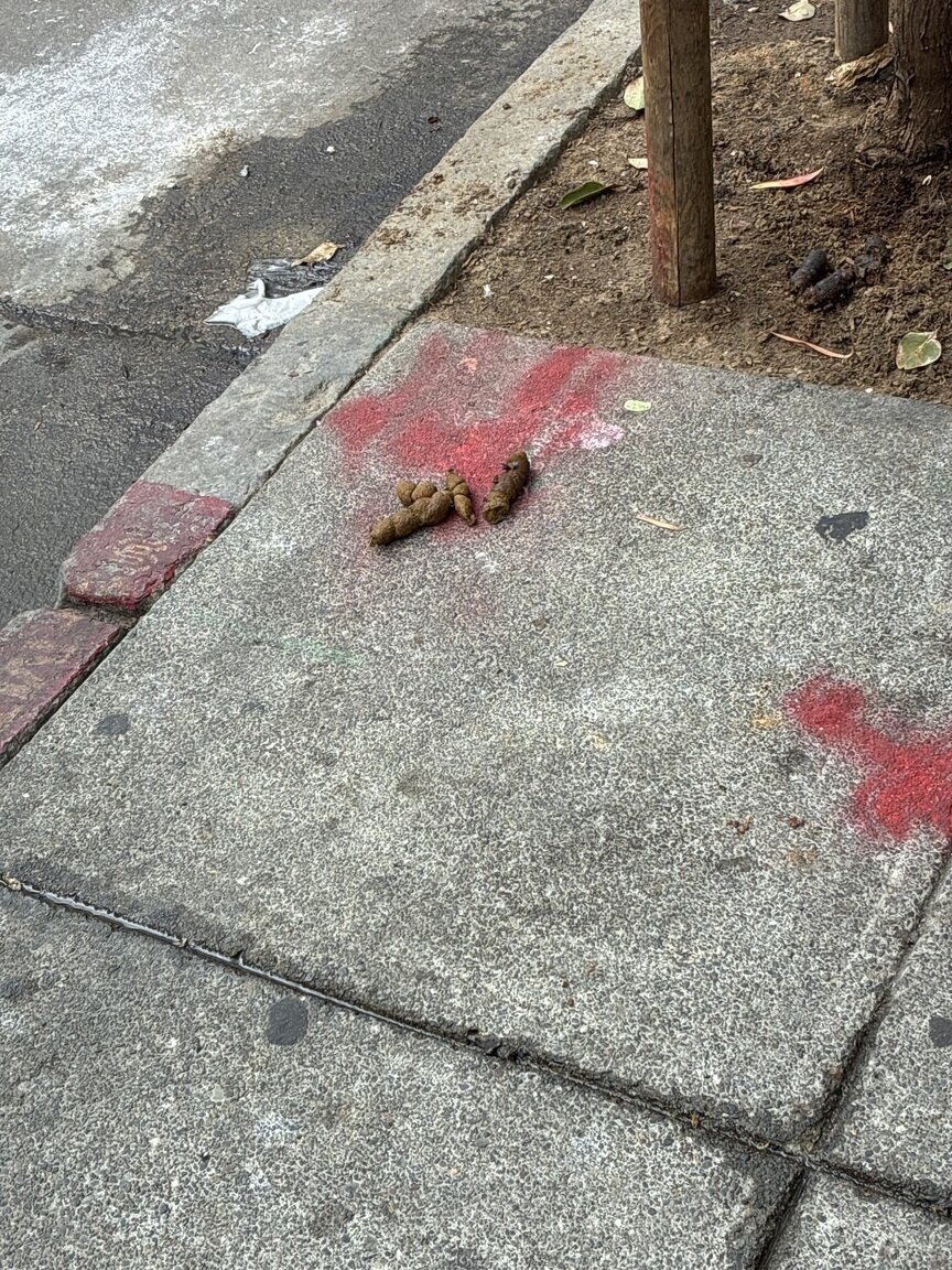 Photo attached to case 202000239949