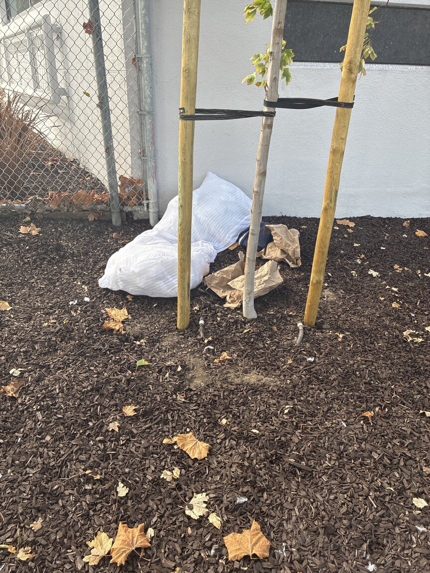 Photo attached to case 202000240276