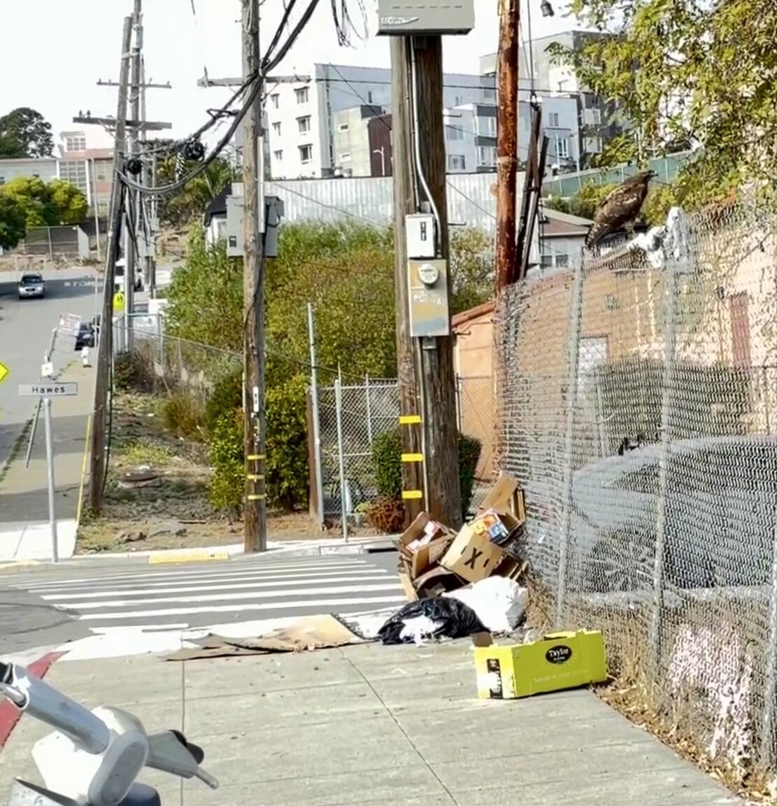 Photo attached to case 202000240823