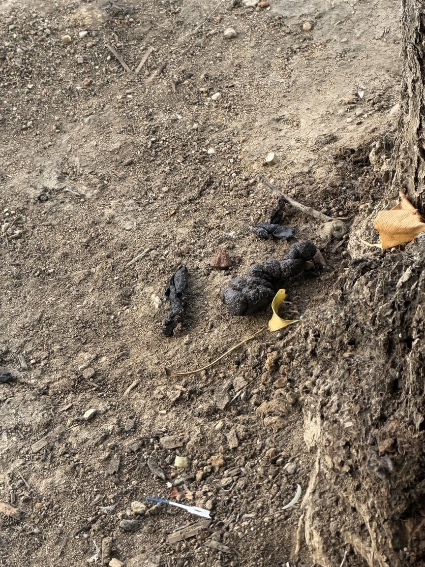 Photo attached to case 202000240835