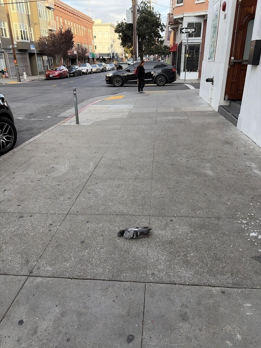 Photo attached to case 202000241432