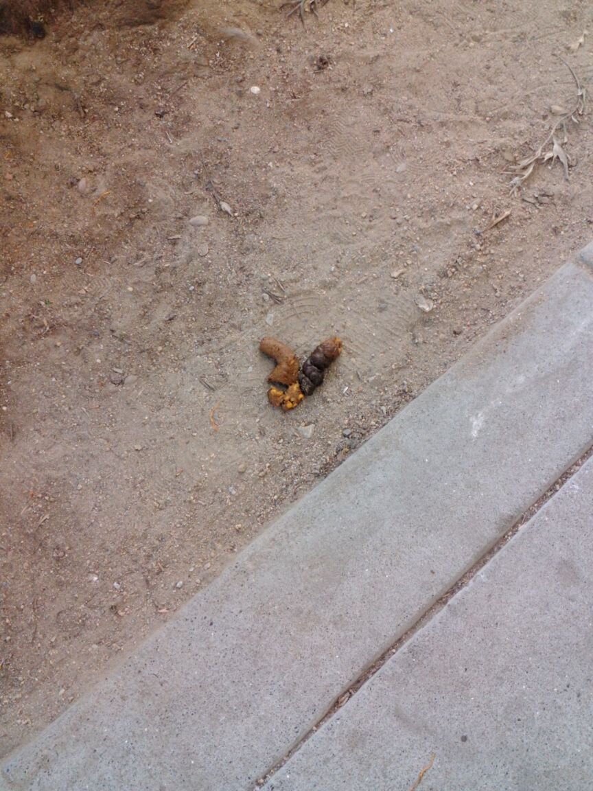 Photo attached to case 202000242376