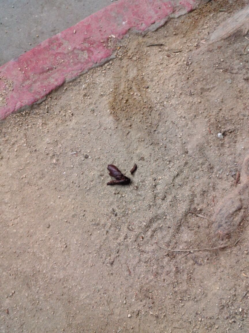 Photo attached to case 202000242381