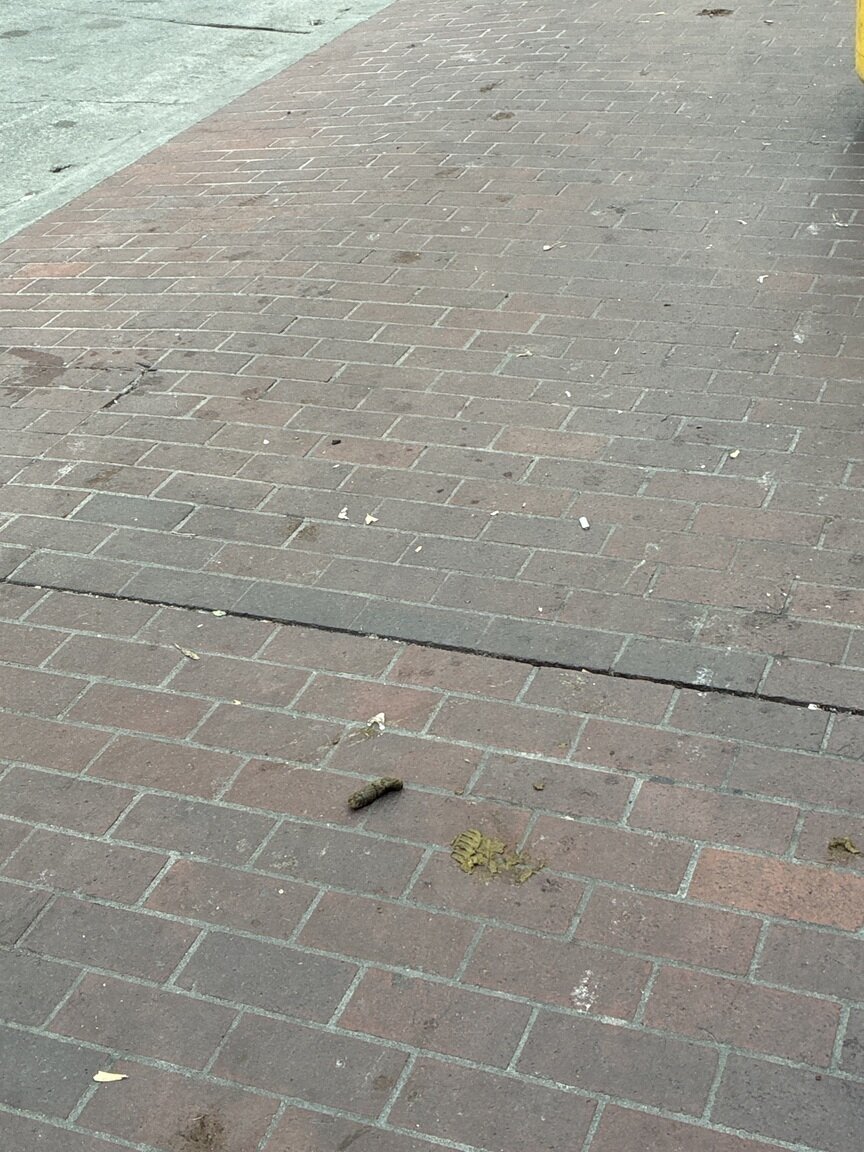 Photo attached to case 202000242431