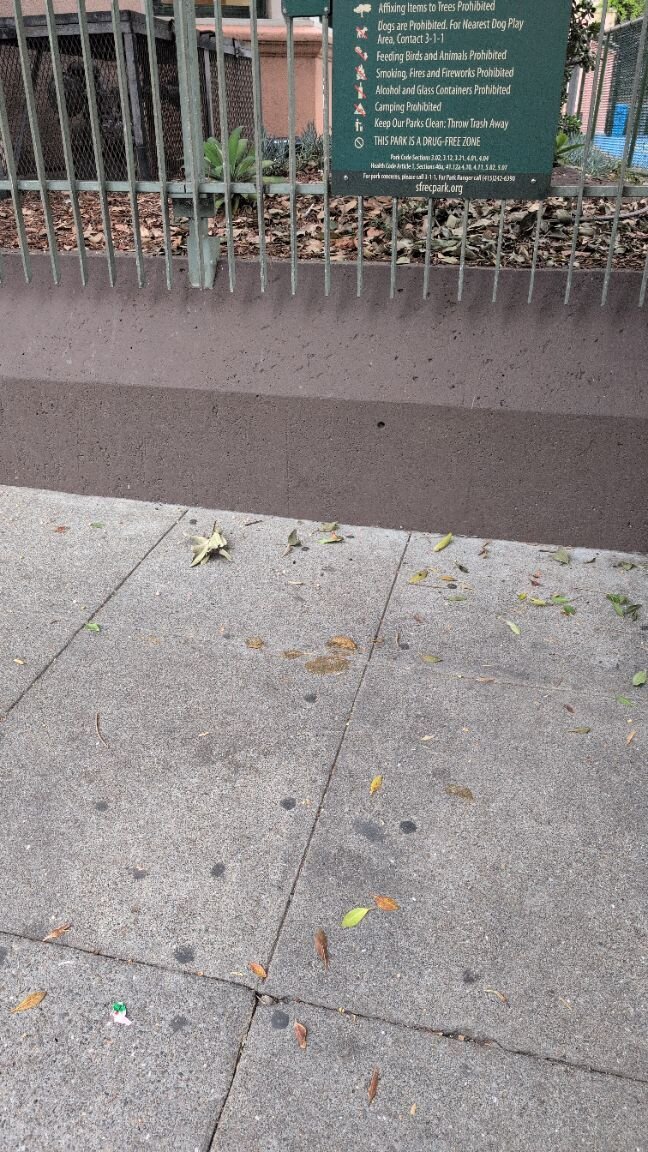 Photo attached to case 202000242620