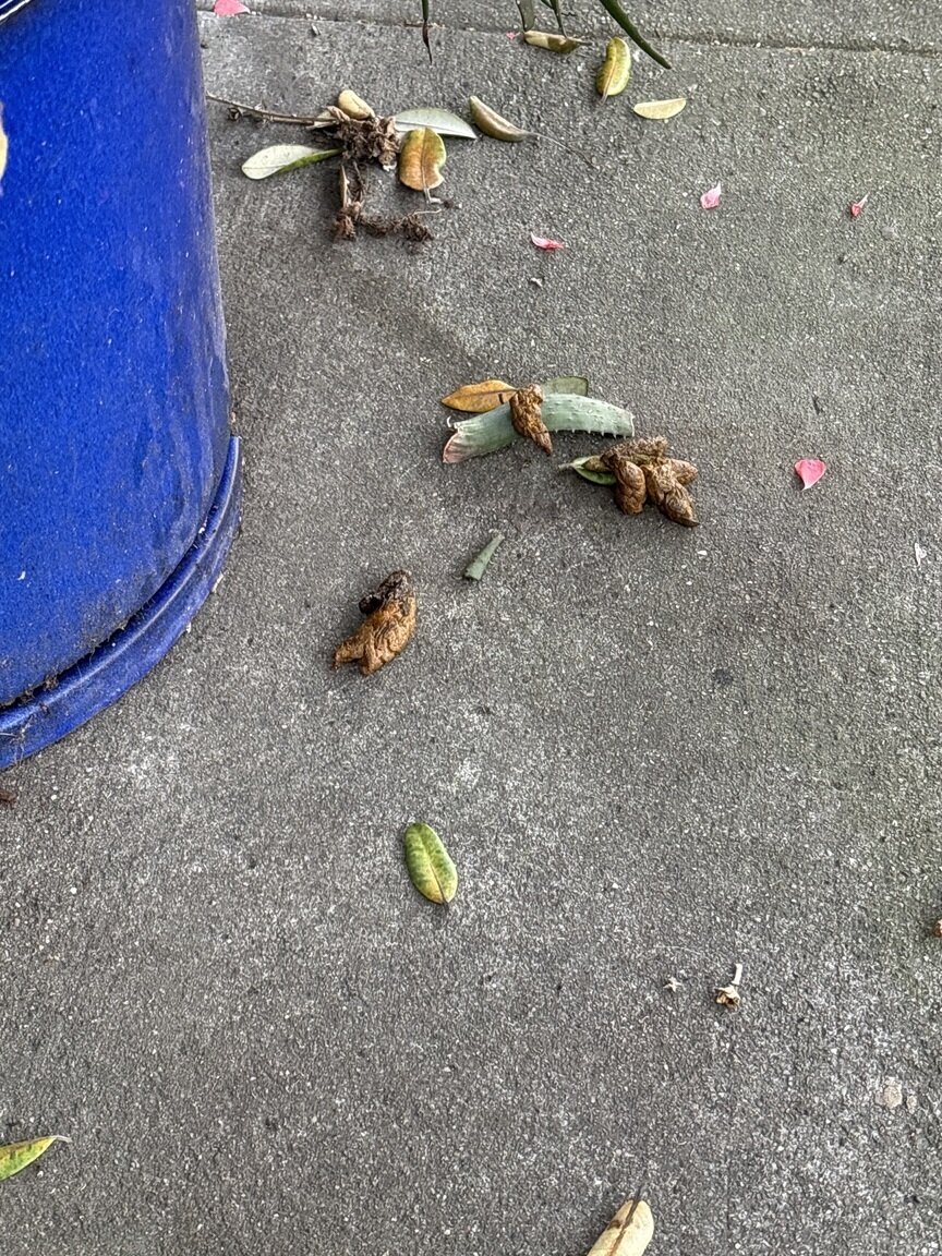 Photo attached to case 202000242663