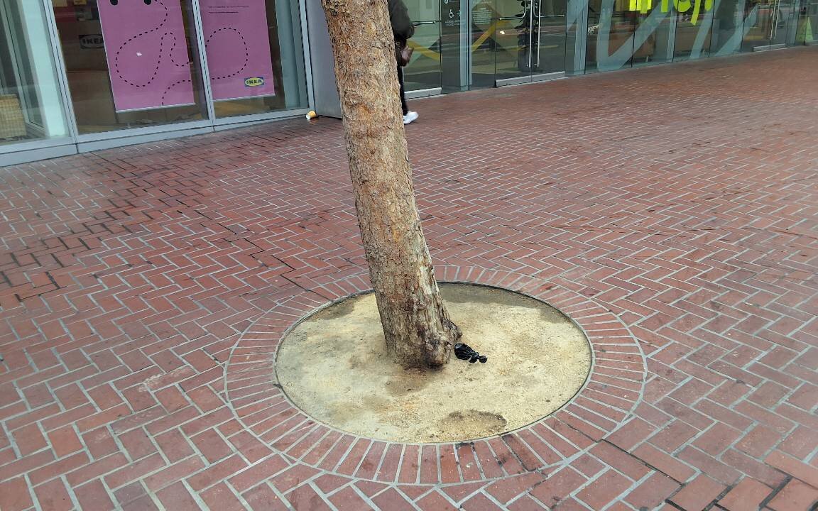 Photo attached to case 202000242735