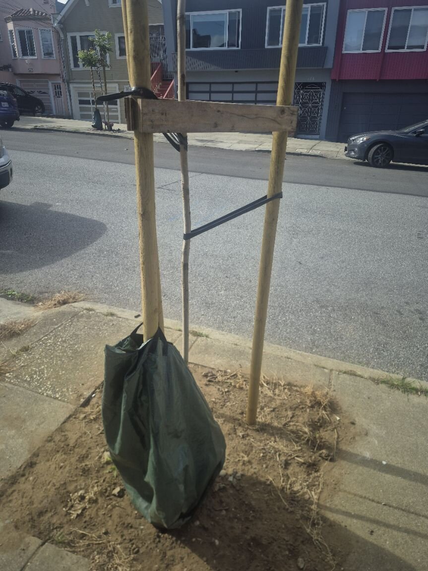 Photo attached to case 202000243787