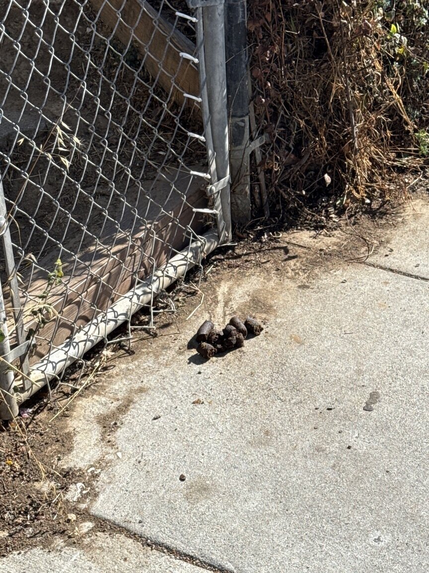 Photo attached to case 202000244021