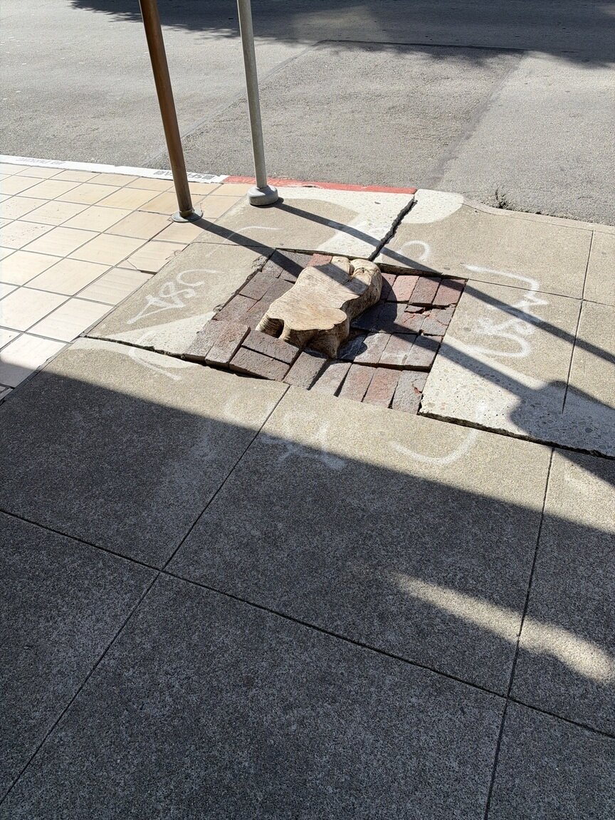 Photo attached to case 202000244055