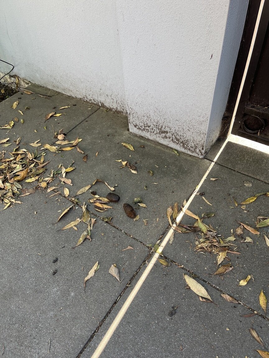 Photo attached to case 202000244225