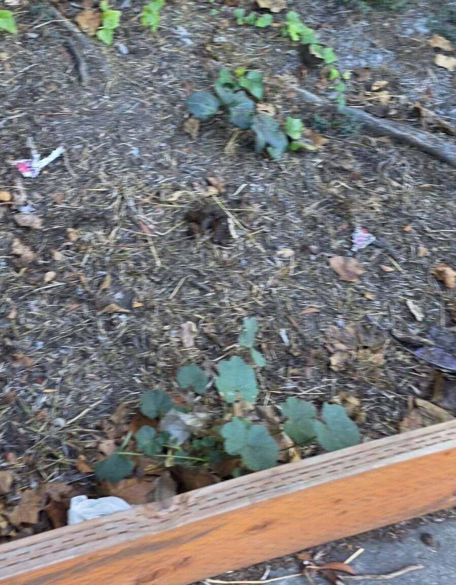 Photo attached to case 202000244396