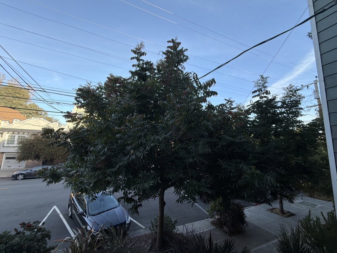 Photo attached to case 202000244854