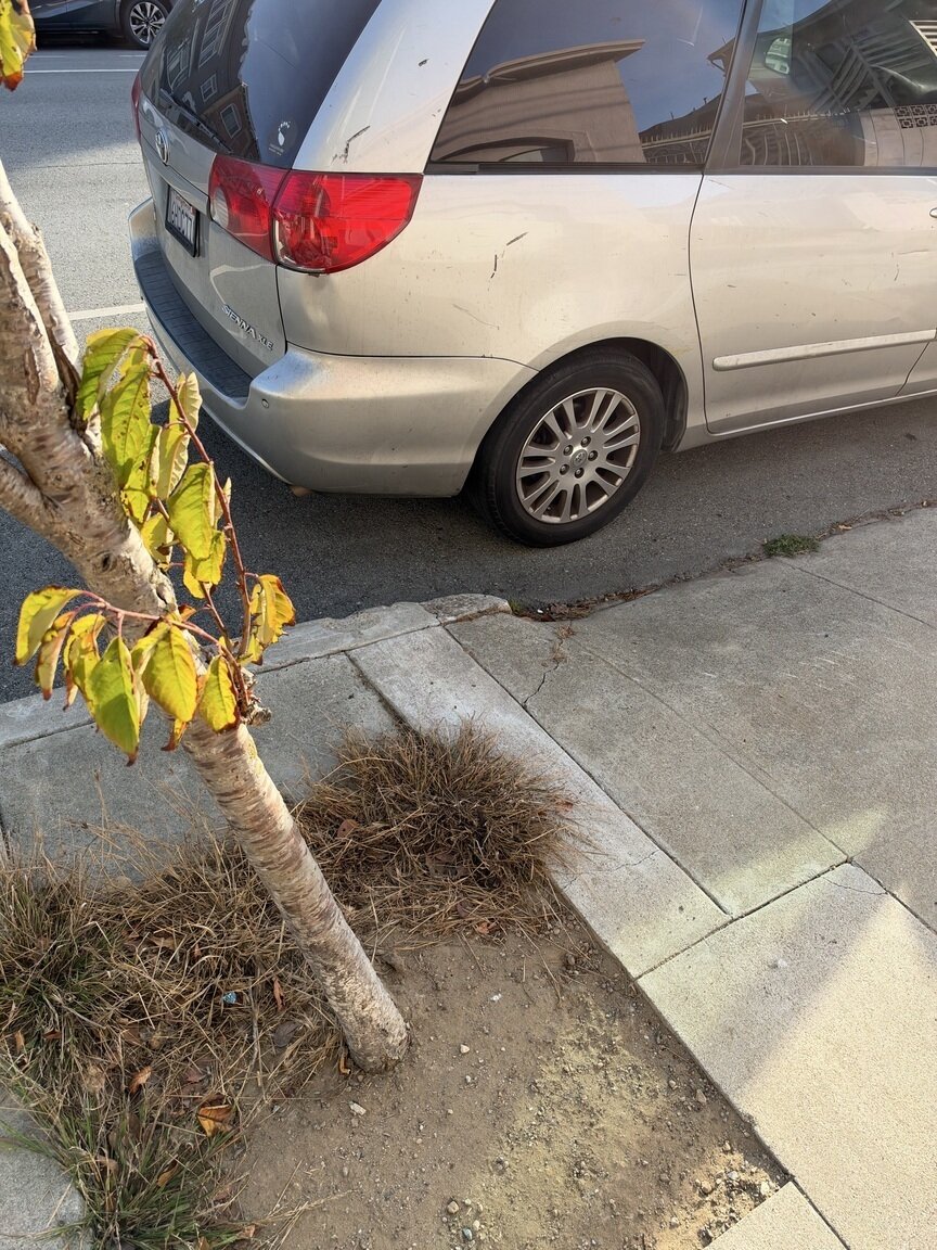 Photo attached to case 202000244867