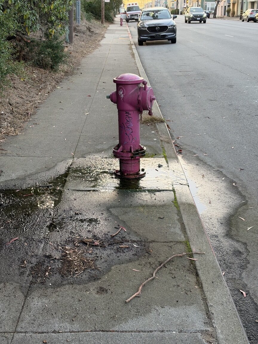 Photo attached to case 202000245043