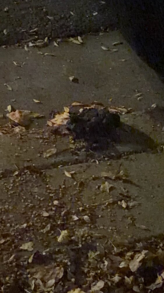 Photo attached to case 202000245337