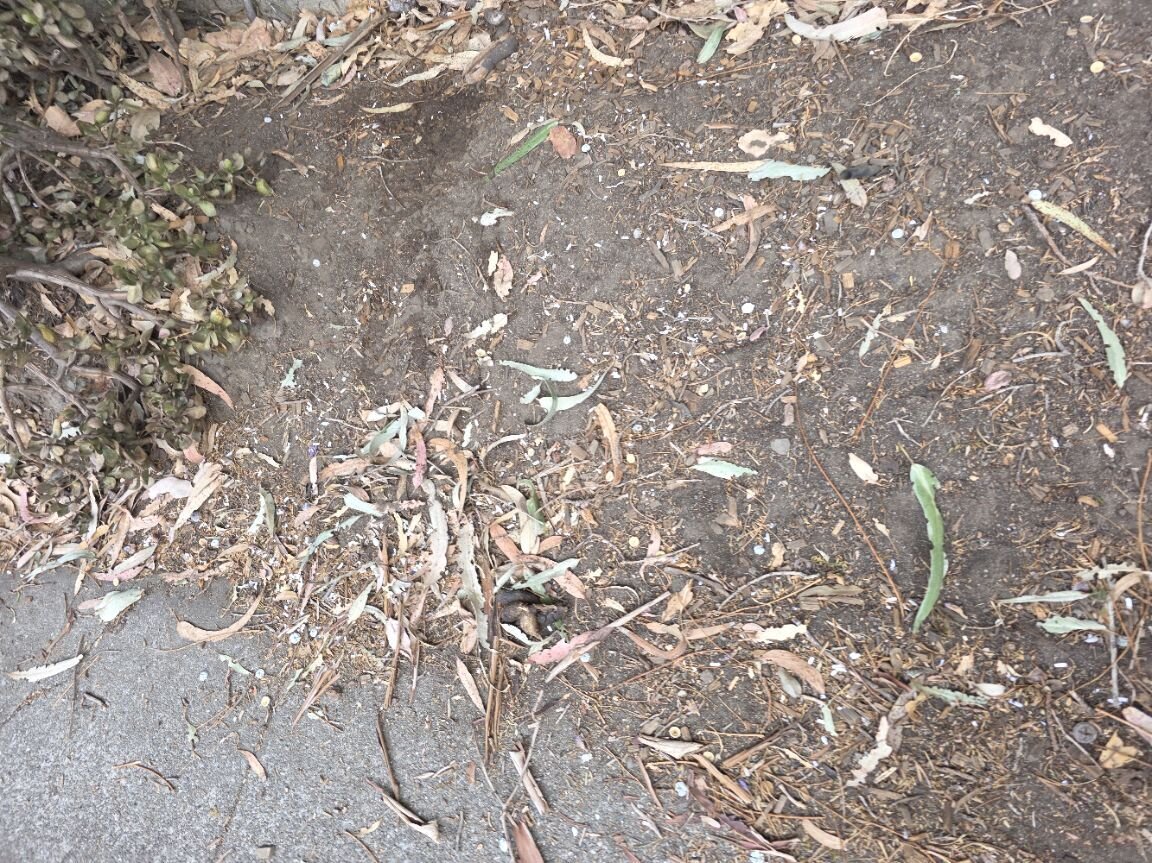 Photo attached to case 202000245718